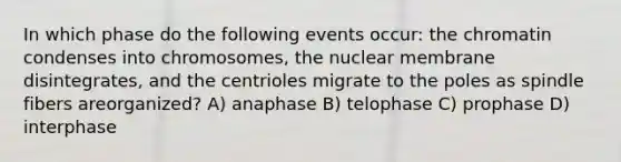 In which phase do the following events occur: the chromatin condenses into chromosomes, the nuclear membrane disintegrates, and the centrioles migrate to the poles as spindle fibers areorganized? A) anaphase B) telophase C) prophase D) interphase