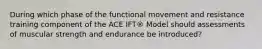 During which phase of the functional movement and resistance training component of the ACE IFT® Model should assessments of muscular strength and endurance be introduced?