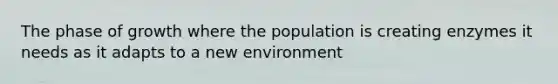 The phase of growth where the population is creating enzymes it needs as it adapts to a new environment