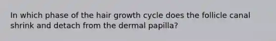 In which phase of the hair growth cycle does the follicle canal shrink and detach from the dermal papilla?