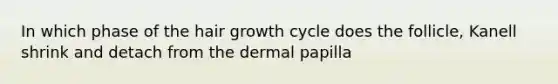 In which phase of the hair growth cycle does the follicle, Kanell shrink and detach from the dermal papilla