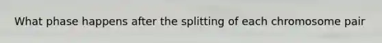 What phase happens after the splitting of each chromosome pair