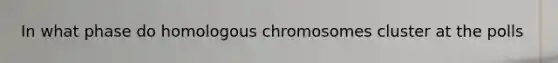 In what phase do homologous chromosomes cluster at the polls