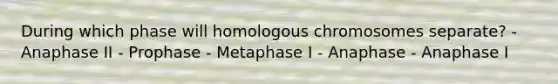 During which phase will homologous chromosomes separate? - Anaphase II - Prophase - Metaphase I - Anaphase - Anaphase I