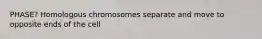 PHASE? Homologous chromosomes separate and move to opposite ends of the cell
