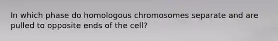 In which phase do homologous chromosomes separate and are pulled to opposite ends of the cell?