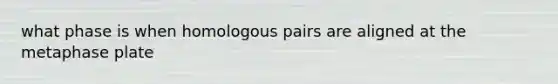 what phase is when homologous pairs are aligned at the metaphase plate