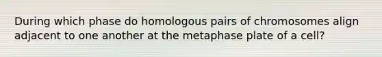 During which phase do homologous pairs of chromosomes align adjacent to one another at the metaphase plate of a cell?