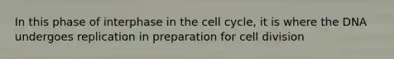 In this phase of interphase in the <a href='https://www.questionai.com/knowledge/keQNMM7c75-cell-cycle' class='anchor-knowledge'>cell cycle</a>, it is where the DNA undergoes replication in preparation for <a href='https://www.questionai.com/knowledge/kjHVAH8Me4-cell-division' class='anchor-knowledge'>cell division</a>