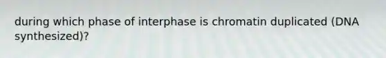 during which phase of interphase is chromatin duplicated (DNA synthesized)?