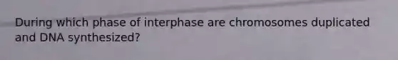 During which phase of interphase are chromosomes duplicated and DNA synthesized?