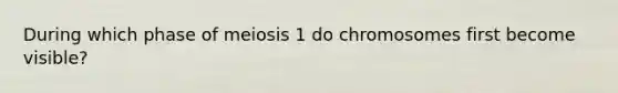 During which phase of meiosis 1 do chromosomes first become visible?