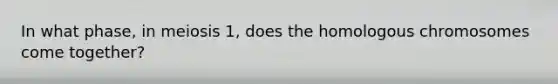 In what phase, in meiosis 1, does the homologous chromosomes come together?