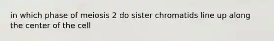 in which phase of meiosis 2 do sister chromatids line up along the center of the cell