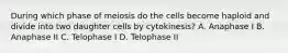 During which phase of meiosis do the cells become haploid and divide into two daughter cells by cytokinesis? A. Anaphase I B. Anaphase II C. Telophase I D. Telophase II