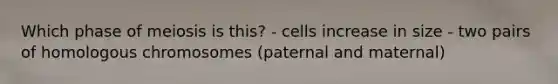 Which phase of meiosis is this? - cells increase in size - two pairs of homologous chromosomes (paternal and maternal)