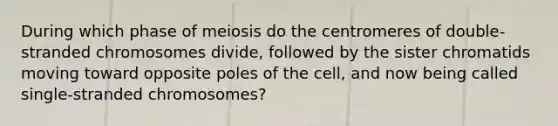 During which phase of meiosis do the centromeres of double-stranded chromosomes divide, followed by the sister chromatids moving toward opposite poles of the cell, and now being called single-stranded chromosomes?