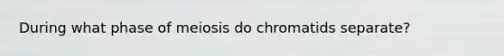 During what phase of meiosis do chromatids separate?