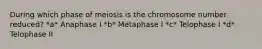 During which phase of meiosis is the chromosome number reduced? *a* Anaphase I *b* Metaphase I *c* Telophase I *d* Telophase II