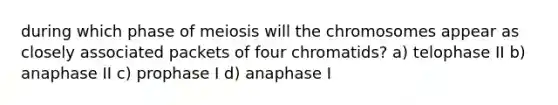 during which phase of meiosis will the chromosomes appear as closely associated packets of four chromatids? a) telophase II b) anaphase II c) prophase I d) anaphase I