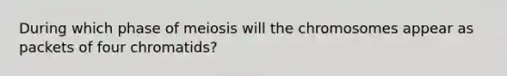 During which phase of meiosis will the chromosomes appear as packets of four chromatids?