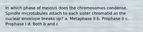 In which phase of meiosis does the chromosomes condense. Spindle microtubules attach to each sister chromatid as the nuclear envelope breaks up? a. Metaphase II b. Prophase II c. Prophase I d. Both b and c