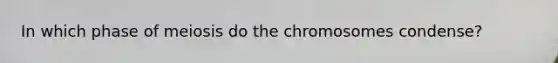 In which phase of meiosis do the chromosomes condense?