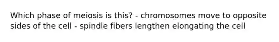 Which phase of meiosis is this? - chromosomes move to opposite sides of the cell - spindle fibers lengthen elongating the cell