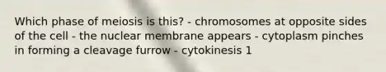 Which phase of meiosis is this? - chromosomes at opposite sides of the cell - the nuclear membrane appears - cytoplasm pinches in forming a cleavage furrow - cytokinesis 1