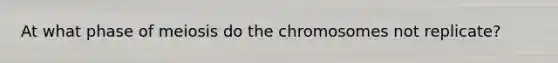 At what phase of meiosis do the chromosomes not replicate?