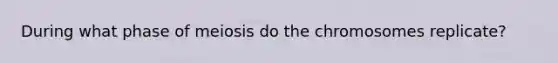 During what phase of meiosis do the chromosomes replicate?
