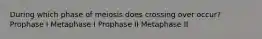 During which phase of meiosis does crossing over occur? Prophase I Metaphase I Prophase II Metaphase II