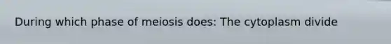 During which phase of meiosis does: The cytoplasm divide