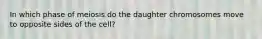 In which phase of meiosis do the daughter chromosomes move to opposite sides of the cell?