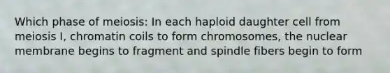 Which phase of meiosis: In each haploid daughter cell from meiosis I, chromatin coils to form chromosomes, the nuclear membrane begins to fragment and spindle fibers begin to form