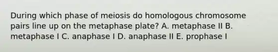 During which phase of meiosis do homologous chromosome pairs line up on the metaphase plate? A. metaphase II B. metaphase I C. anaphase I D. anaphase II E. prophase I