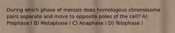 During which phase of meiosis does homologous chromosome pairs separate and move to opposite poles of the cell? A) Prophase I B) Metaphase I C) Anaphase I D) Telophase I