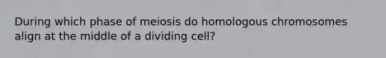 During which phase of meiosis do homologous chromosomes align at the middle of a dividing cell?