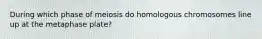 During which phase of meiosis do homologous chromosomes line up at the metaphase plate?