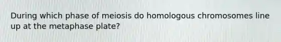 During which phase of meiosis do homologous chromosomes line up at the metaphase plate?