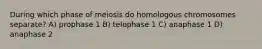 During which phase of meiosis do homologous chromosomes separate? A) prophase 1 B) telophase 1 C) anaphase 1 D) anaphase 2