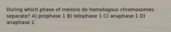 During which phase of meiosis do homologous chromosomes separate? A) prophase 1 B) telophase 1 C) anaphase 1 D) anaphase 2