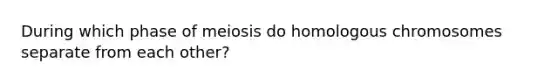 During which phase of meiosis do homologous chromosomes separate from each other?