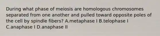 During what phase of meiosis are homologous chromosomes separated from one another and pulled toward opposite poles of the cell by spindle fibers? A.metaphase I B.telophase I C.anaphase I D.anaphase II