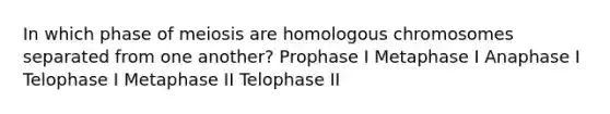 In which phase of meiosis are homologous chromosomes separated from one another? Prophase I Metaphase I Anaphase I Telophase I Metaphase II Telophase II