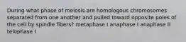 During what phase of meiosis are homologous chromosomes separated from one another and pulled toward opposite poles of the cell by spindle fibers? metaphase I anaphase I anaphase II telophase I