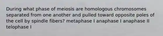 During what phase of meiosis are homologous chromosomes separated from one another and pulled toward opposite poles of the cell by spindle fibers? metaphase I anaphase I anaphase II telophase I