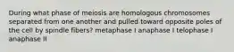 During what phase of meiosis are homologous chromosomes separated from one another and pulled toward opposite poles of the cell by spindle fibers? metaphase I anaphase I telophase I anaphase II