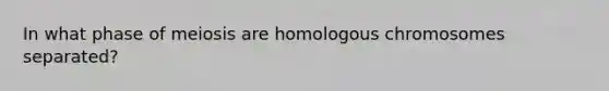 In what phase of meiosis are homologous chromosomes separated?