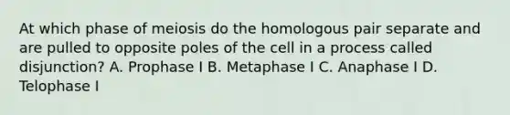 At which phase of meiosis do the homologous pair separate and are pulled to opposite poles of the cell in a process called disjunction? A. Prophase I B. Metaphase I C. Anaphase I D. Telophase I